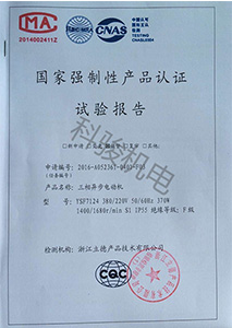 國(guó)家強(qiáng)制性認(rèn)證試驗(yàn)報(bào)復(fù)-三相異步電動(dòng)機(jī)-